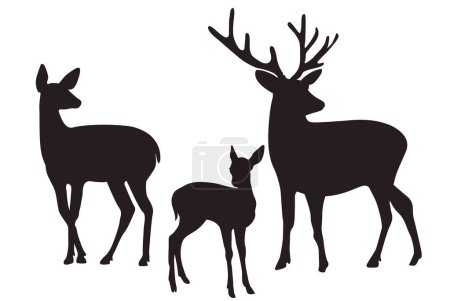 Illustration for Silhouette of beautiful deers on white background. Vector illustration - Royalty Free Image