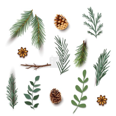 Ilustración de Plantilla de tarjetas de felicitación de diseño de naturaleza de invierno, Feliz Navidad, fondo blanco. Ilustración de Navidad vectorial - Imagen libre de derechos