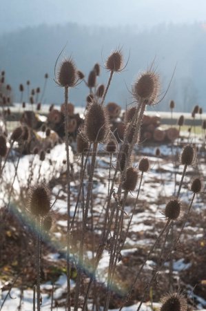 Téléchargez les photos : Un paysage hivernal dans la zone de savoie française, près de la ville d'Entre-deux-guiers. - en image libre de droit