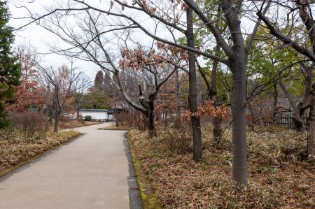 Foto de Himeji, Japón - 6 de enero de 2020. Exterior de un jardín japonés cerca del castillo de Himeji. - Imagen libre de derechos