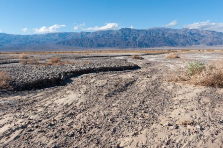 Téléchargez les photos : Death Valley landscape on a sunny winter afternoon, near Beatty junction. - en image libre de droit