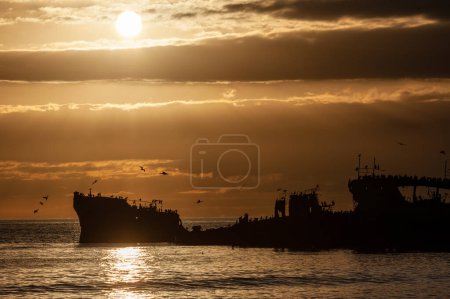 Téléchargez les photos : Silhoutte of the SS Palo Alto near sunset, an old World War II shipwreck off the coast of Aptos, Californa - en image libre de droit