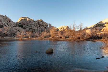 Photo for Overlooking Barker Dam in Joshua Tree National Park during golden hour. - Royalty Free Image
