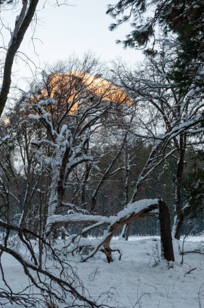 Téléchargez les photos : La dernière lumière du soleil couchant illuminant un demi-dôme enneigé un après-midi d'hiver. Parc national Yosemite. - en image libre de droit