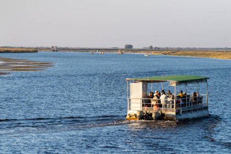 A collection of tourist boats on the chobe river in Botswana.