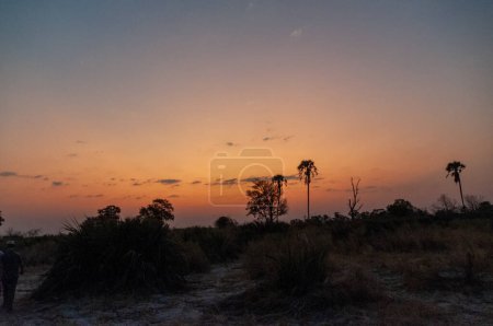 Téléchargez les photos : Un paysage magnifique du delta de l'Okavango, autour du coucher du soleil - en image libre de droit