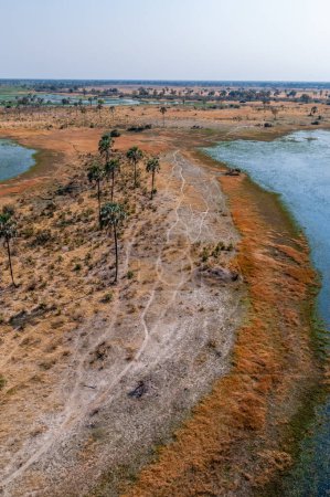 Téléchargez les photos : Impression aérienne du delta de l'Okavango, Botswana, vue depuis un hélicoptère. - en image libre de droit