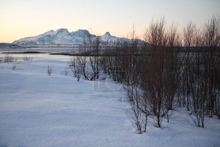 Téléchargez les photos : Détail des montagnes accidentées près de Bodo, dans le nord de l'Arctique, pendant l'heure dorée. - en image libre de droit
