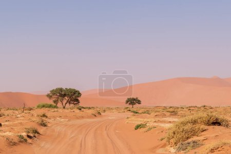 Téléchargez les photos : Impression des massives dunes de sable qui composent les Sossusvlei de la Namibie occidentale - en image libre de droit