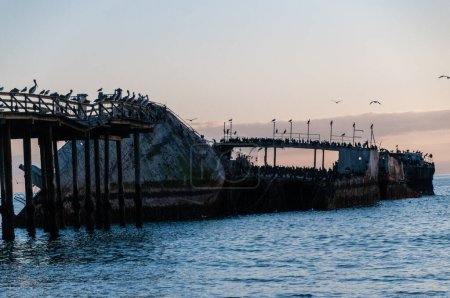 Téléchargez les photos : Gros plan sur le SS Palo Alto, un vieux naufrage de la Seconde Guerre mondiale autour du coucher du soleil, au large des côtes d'Aptos, près de la plage du Seacliff, en Californie - en image libre de droit