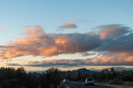 Photo for Sunset in in Joshua Tree national park on a winter evening. - Royalty Free Image