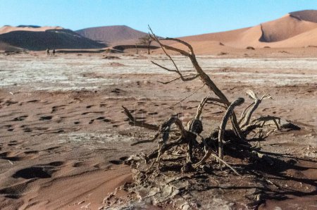 Téléchargez les photos : Impression of the barren sand dune landscape near the deadvlei region of Namibia. - en image libre de droit