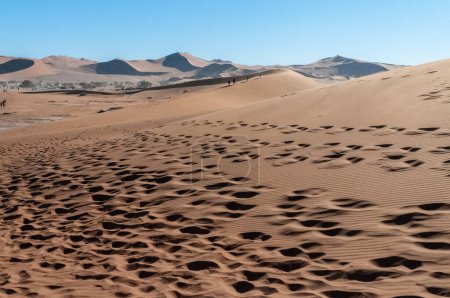 Téléchargez les photos : Impression of the barren sand dune landscape near the deadvlei region of Namibia. - en image libre de droit