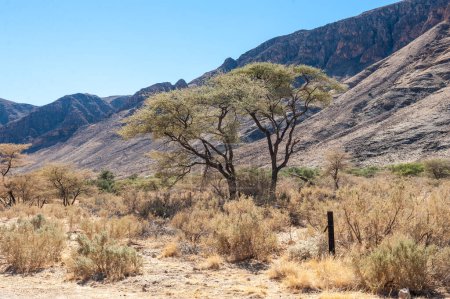 Téléchargez les photos : Landscape shot of the Namibian Desert between Windhoek and Sesriem - en image libre de droit
