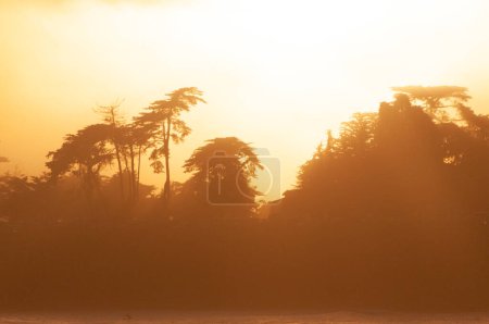 Téléchargez les photos : Image onirique du coucher du soleil traversant une couche de nuages et montrant des silhouttes d'arbres. - en image libre de droit