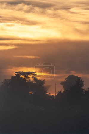 Téléchargez les photos : Image onirique du coucher du soleil traversant une couche de nuages et montrant des silhouttes d'arbres. - en image libre de droit