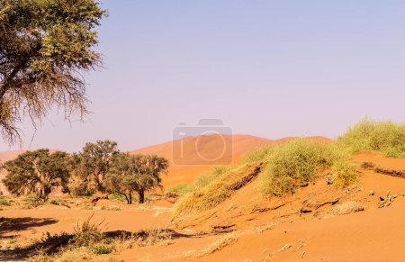 Foto de Impresión de las enormes dunas de arena que componen el Sossusvlei del oeste de Namibia - Imagen libre de derechos