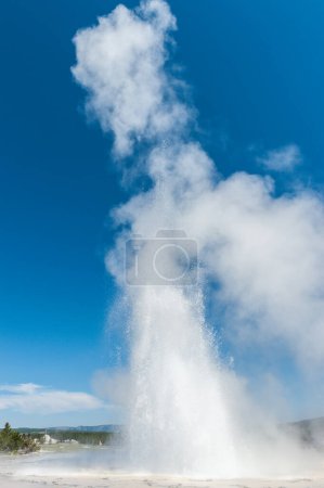 Photo for Eruption of the Great Fountain Geyser in Yellowstone National park. - Royalty Free Image