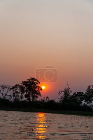 Téléchargez les photos : Un paysage magnifique du delta de l'Okavango, autour du coucher du soleil - en image libre de droit