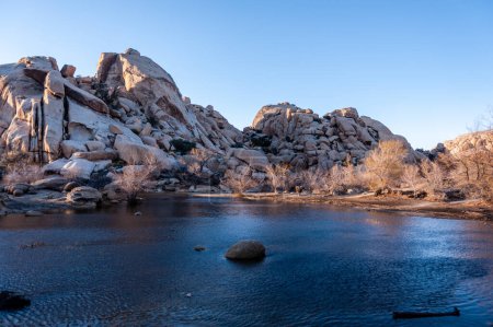 Photo for Impression of the Barkers dam area in Joshua tree national park, around sunset. - Royalty Free Image