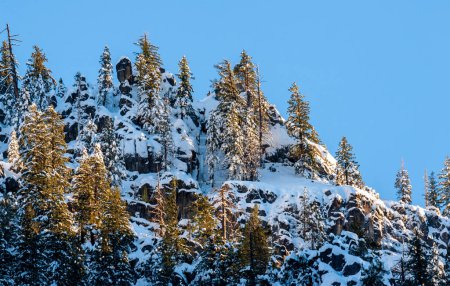 Foto de La luz del sol temprano en la mañana iluminó los árboles cubiertos de nieve y las montañas en el valle de Yosemite. - Imagen libre de derechos