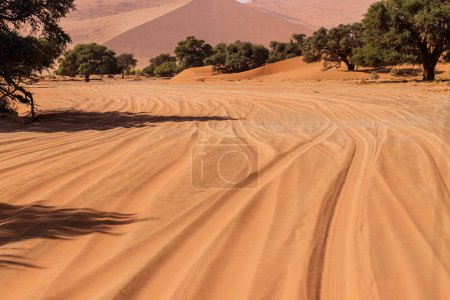 Téléchargez les photos : Impression des massives dunes de sable qui composent les Sossusvlei de la Namibie occidentale - en image libre de droit