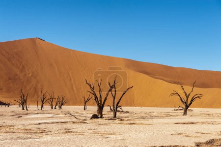 Foto de Landscape shot of the iconic dead trees of the Namibian deadvlei area. - Imagen libre de derechos