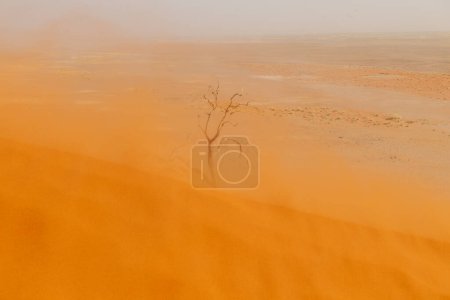 Düne 45, im namibischen sossusvlei, an einem stürmischen Nachmittag mit eingeschränkter Sicht