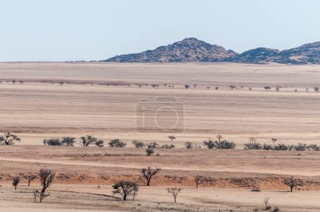 Téléchargez les photos : Outlook over the Kuiseb pass viewpoint in Namibia, an area that strongly resembles a lunar landscape. - en image libre de droit