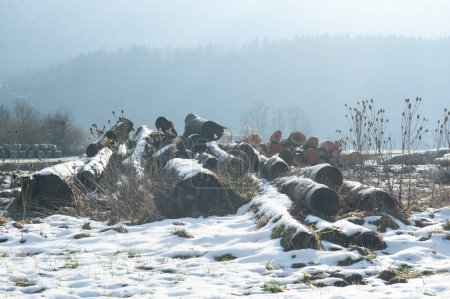 Téléchargez les photos : Un paysage hivernal dans la zone de savoie française, près de la ville d'Entre-deux-guiers. - en image libre de droit