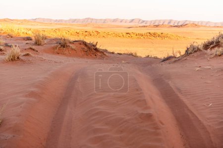 Une matinée très matinale dans le désert namibien, près de Cha-re, autour du lever du soleil