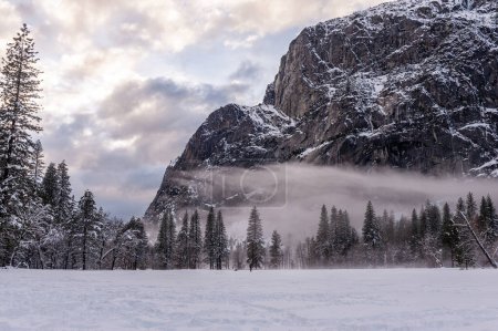 Foto de Exterior de un paisaje cubierto de nieve en el valle de Yosemite. Es tarde y una fina capa de niebla está emergiendo, provocando una atmósfera inquietante. - Imagen libre de derechos
