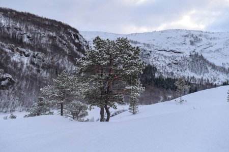 Snow landscape in the mountains of arctic Norway in winter