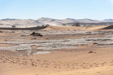 Foto de Impression of the barren sand dune landscape near the deadvlei region of Namibia. - Imagen libre de derechos