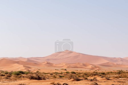 Impression des massives dunes de sable qui composent les Sossusvlei de la Namibie occidentale