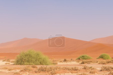 Impresión de las enormes dunas de arena que componen el Sossusvlei del oeste de Namibia