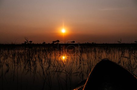 Foto de Telefoto de una hermosa puesta de sol en el delta del Okavango en Botswana. - Imagen libre de derechos