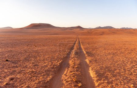 Foto de Una mañana muy temprano en el desierto de Namibia, cerca de Cha-re, alrededor de la salida del sol - Imagen libre de derechos