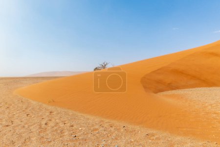 Téléchargez les photos : Dune 45, dans la Sossusvlei namibienne, par un après-midi orageux avec une visibilité limitée - en image libre de droit
