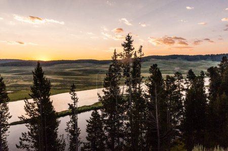 Téléchargez les photos : Overlooking the Yellowstone river at the break of dawn, on a summer morning, from Hayden Valley. Yellowstone National Park, Wyoming, USA. - en image libre de droit