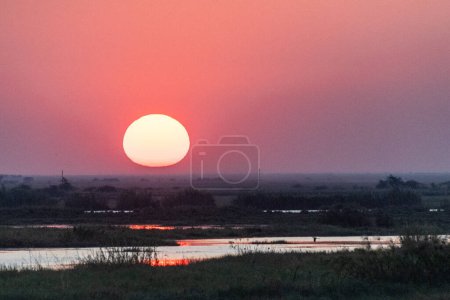 Foto de Telefoto del sol poniente sobre el río Chobe en una brillante tarde de invierno en Botswana. - Imagen libre de derechos