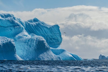 Eine ruhige antarktische Landschaft in der Nähe der Graham Passage entlang der Charlotte Bay, die krasse Spiegelungen, schroffe Berge und beeindruckende Eisberge hervorhebt.