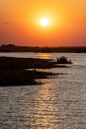 Foto de Telephoto shot of the setting sun over the chobe river on a bright winter afternoon in Botswana. - Imagen libre de derechos