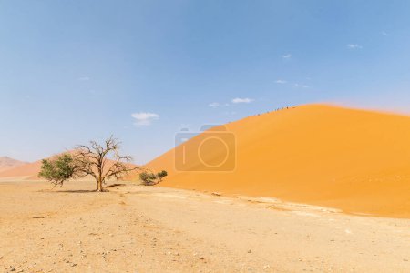 Photo for Dune 45, in the Namibian sossusvlei, on a stormy afternoon with limited visibility - Royalty Free Image