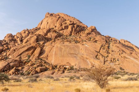 Eine relativ grüne Wüstenlandschaft bei Spitzkoppe, einem berühmten Wahrzeichen Namibias.