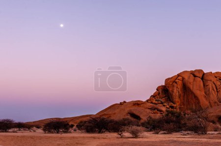 Téléchargez les photos : Une pleine lune éclatante accentue un désert rouge et un ciel rose. Désert namibien près de Spitzkoppe. - en image libre de droit