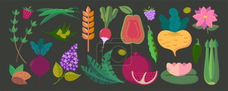 Téléchargez les illustrations : Ensemble vectoriel d'herbes, noix, épices, fruits et baies, légumes, fleurs icônes cliparts illustrations isolées - en licence libre de droit