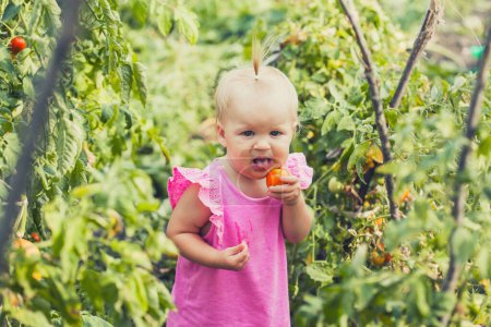 Photo for Cute baby eating tomato in garden, carefree childhood - Royalty Free Image