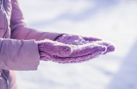 Téléchargez les photos : Close up of female hands in purple knitted gloves, clap and shake hands out of snow at sunny winter day, snowflakes lightened by sun . Winter time concept. - en image libre de droit