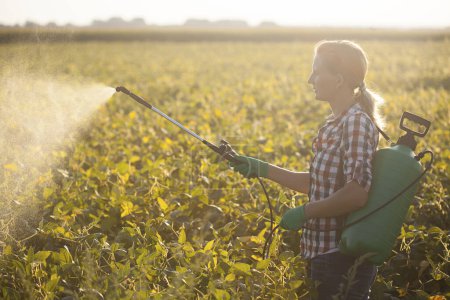 Photo for Young woman in a green backpack with a pressure garden sprayer spraying soybeans against diseases and pests - Royalty Free Image